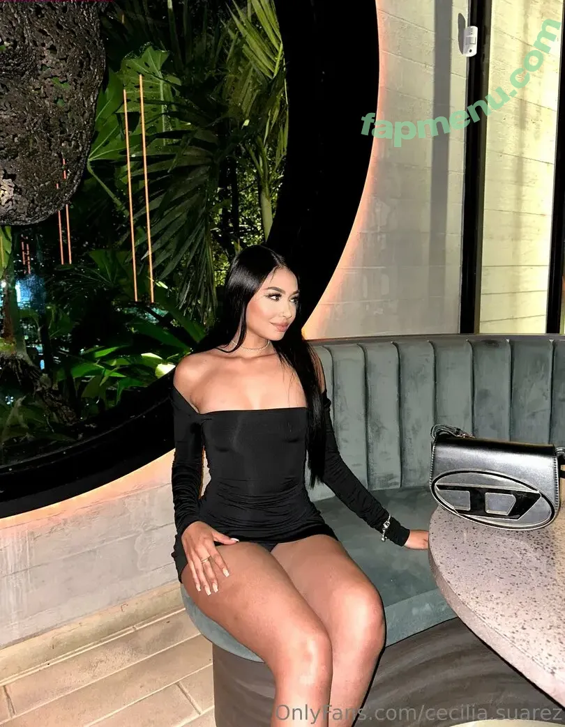 cecilia.suarez nude photo #0056 (realcecilia.suarez)