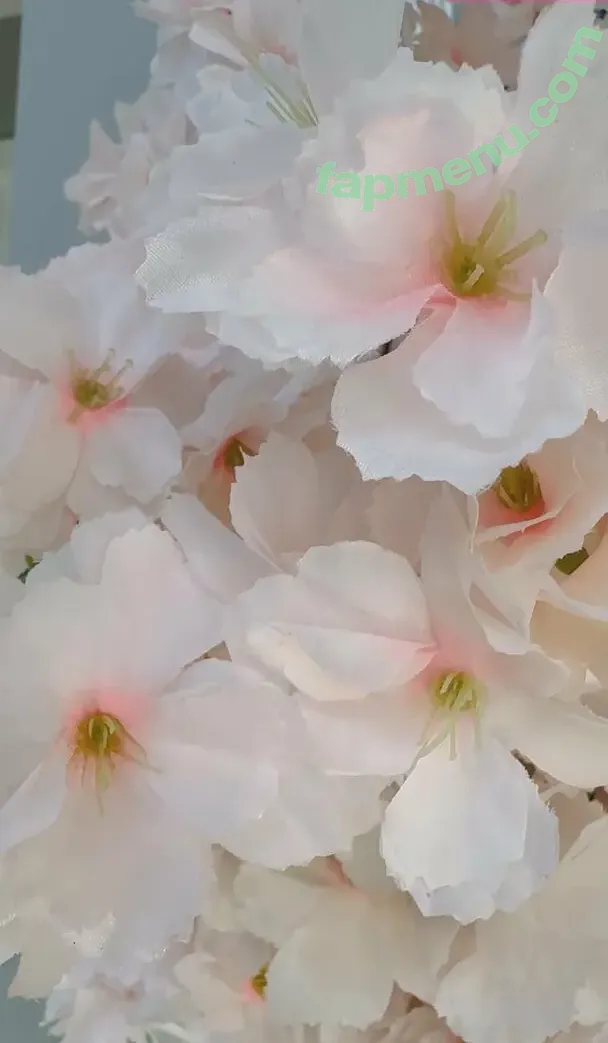 cherryblossom nude photo #0009 (cherryblossom)