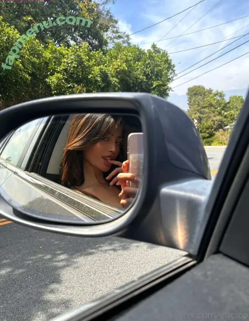cicofox nude photo #0014 (cicifoxx)