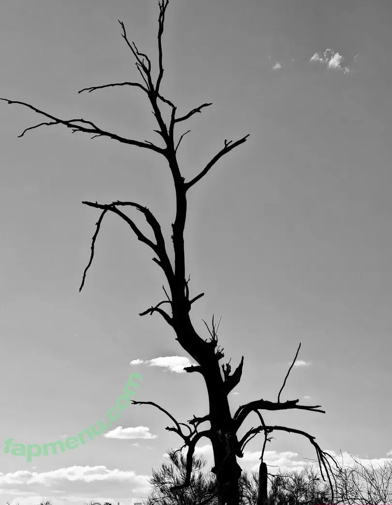 cissaldansinferno nude photo #0002 (cissaldansinferno)
