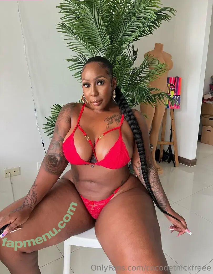 cocodethickfreee nude photo #0077 (ky_baackk)