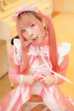 como.exe / Comonun / hitori.exe nude photo #0267
