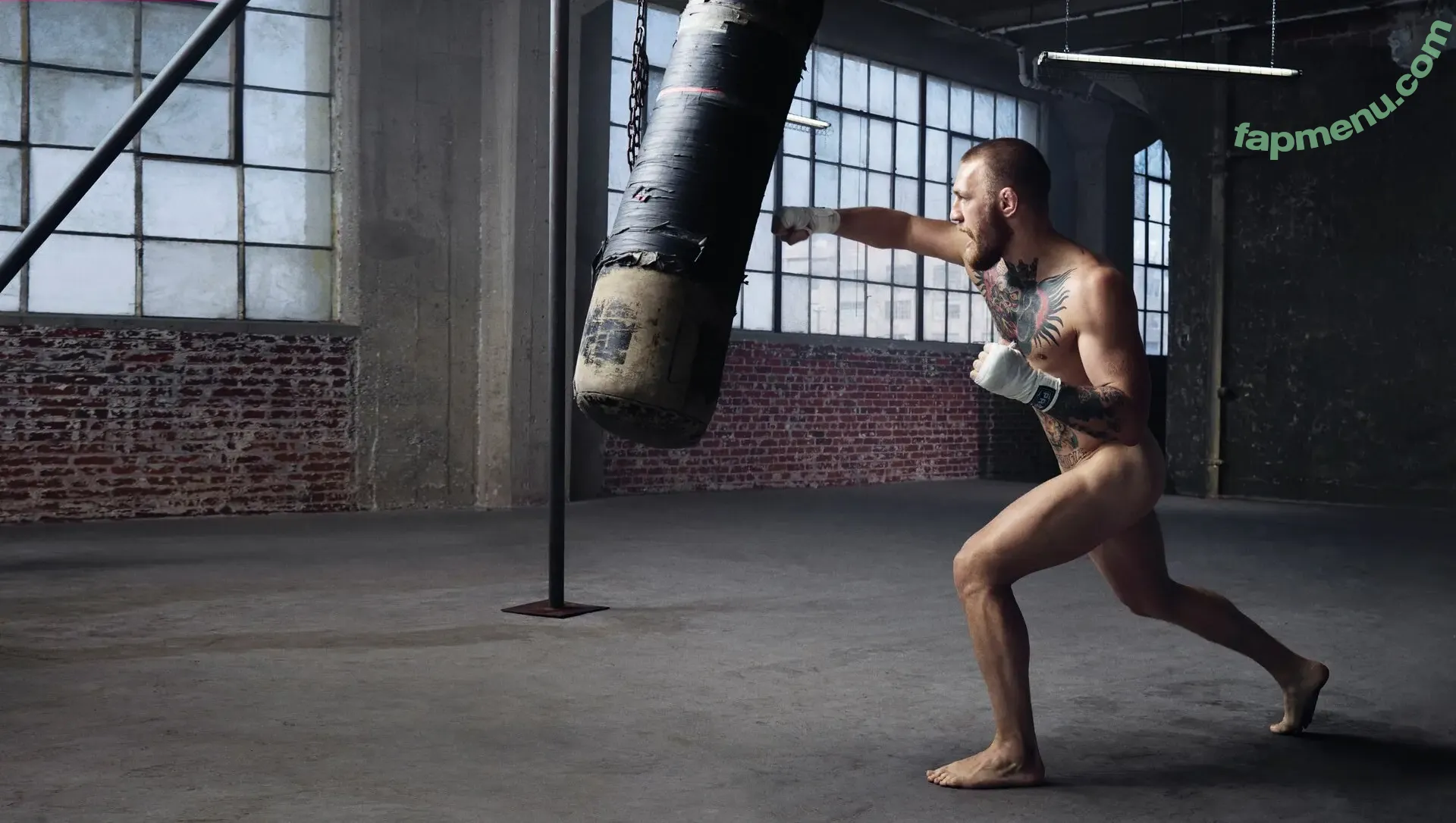 Conor McGregor nude photo #0007 (thenotoriousmma)