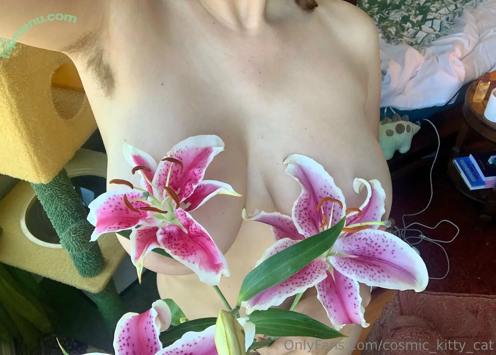 Cosmic_Kitty_Cat nude photo #0108 (cosmic_kitty_cat_)