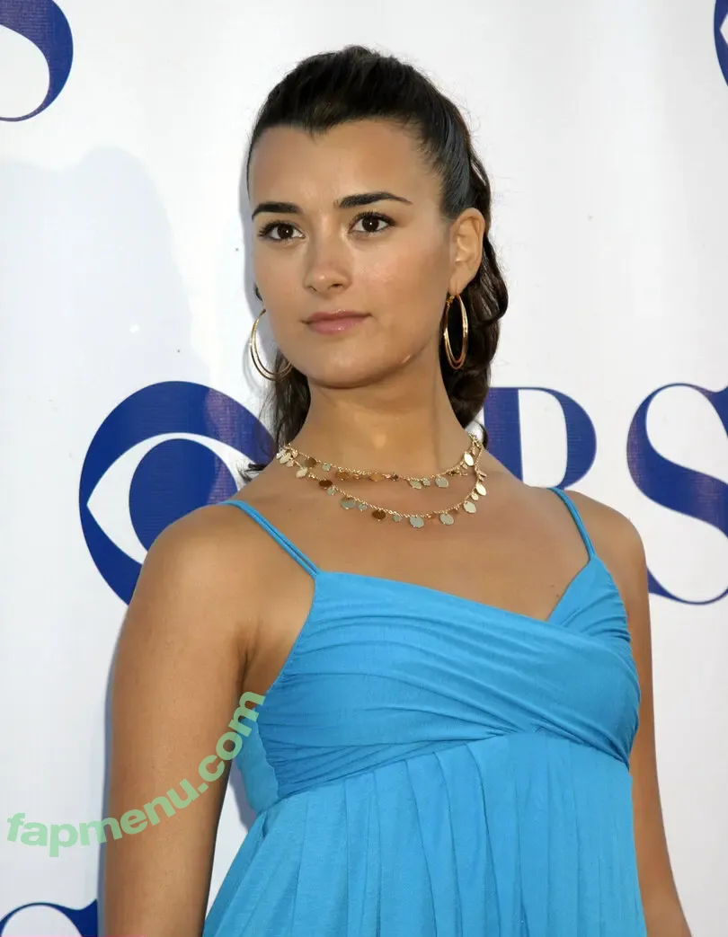 Cote De Pablo nude photo #0040 (cote.de.pablo)