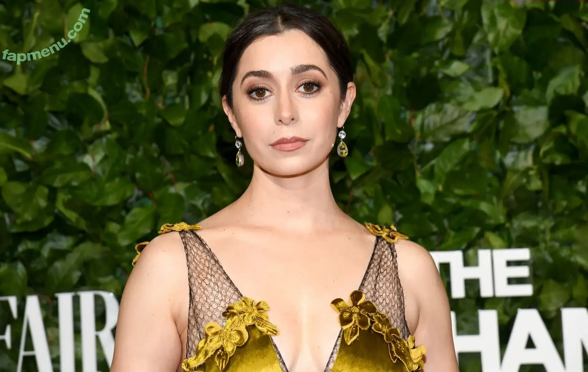 Cristin Milioti nude photo #0252 (cristinmilioti)