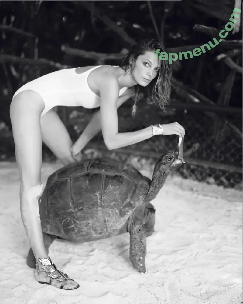 Daria Werbowy nude photo #0003 (Daria Werbowy)