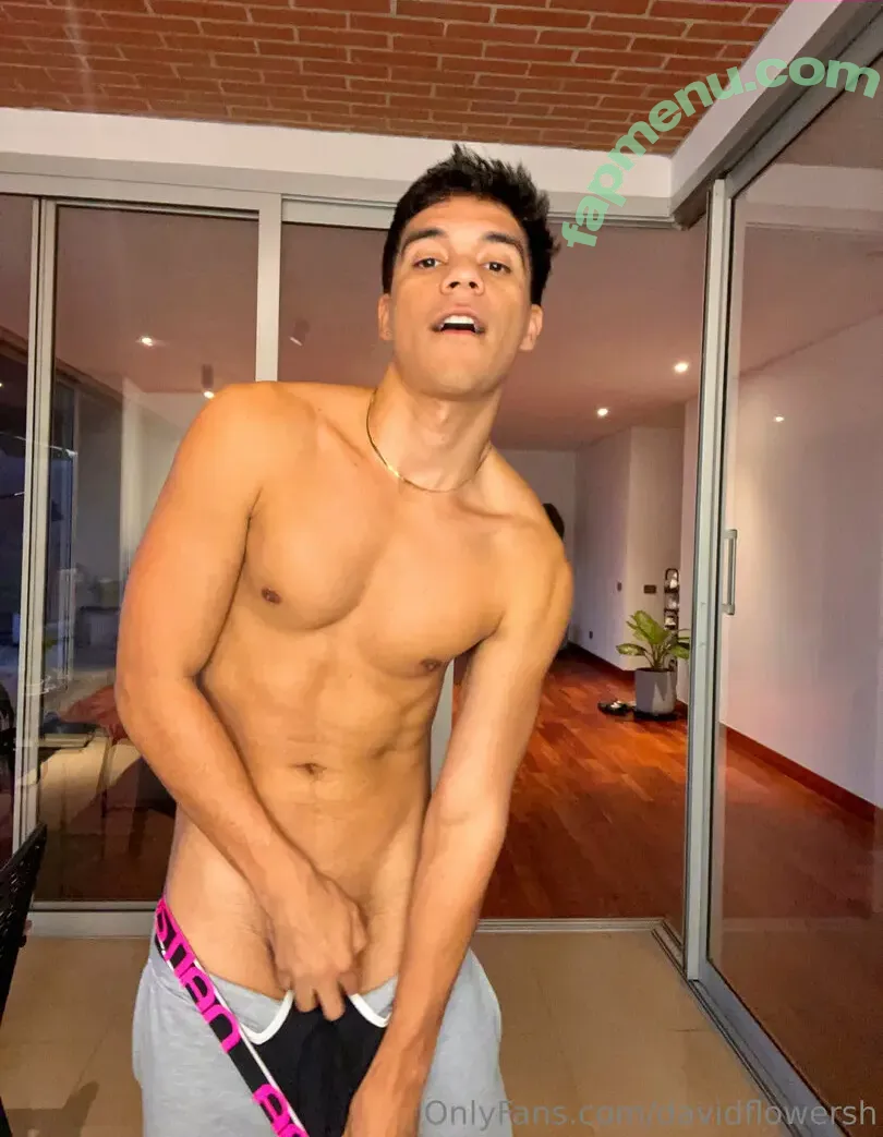 davidflowersh nude photo #0031 (davidflowersh)
