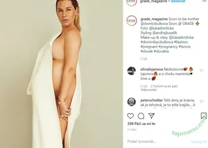 Dominika Cibulkova / domicibulkova nude photo #0015