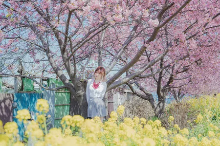 eeelyeee / Ely Cosplay / Ely_eee nude photo #1204