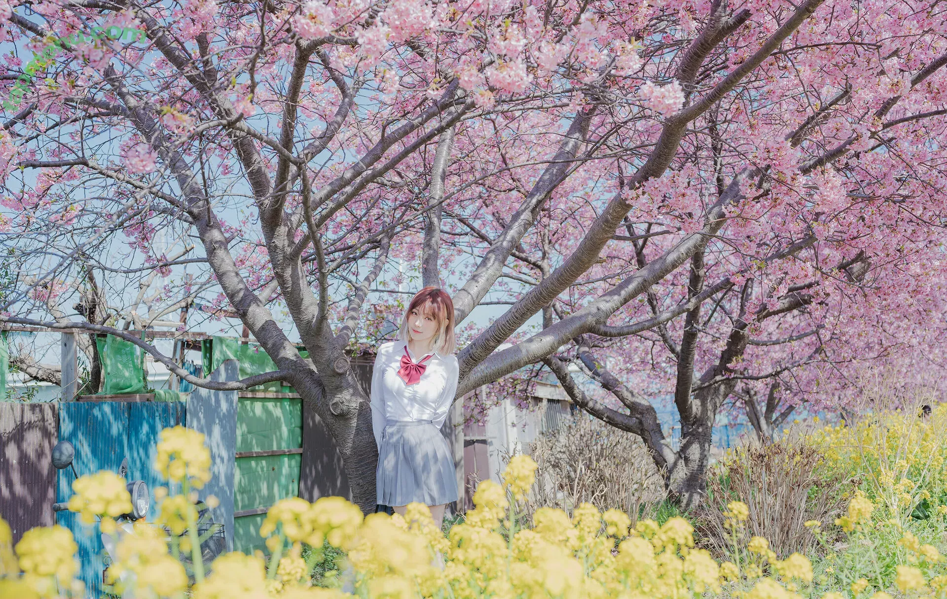 eeelyeee nude photo #1204 (Ely Cosplay / Ely_eee)
