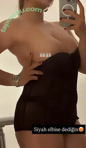 Elif Karaarslan / elifkaraarslan_17 nude photo #0293