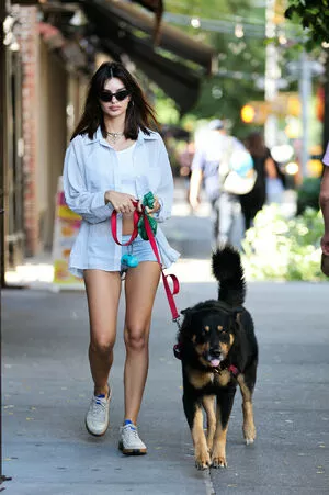 Emily Ratajkowski / emrata nude photo #6899