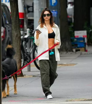 Emily Ratajkowski / emrata nude photo #7016