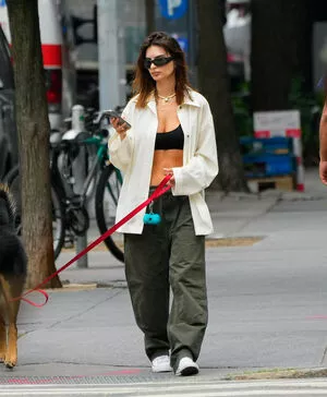 Emily Ratajkowski / emrata nude photo #7017