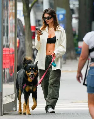 Emily Ratajkowski / emrata nude photo #7020
