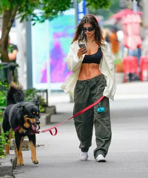 Emily Ratajkowski / emrata nude photo #7028