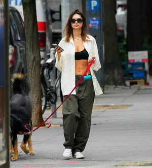 Emily Ratajkowski / emrata nude photo #7031