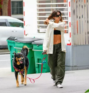 Emily Ratajkowski / emrata nude photo #7043