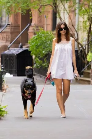 Emily Ratajkowski / emrata nude photo #7110