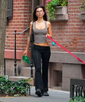 Emily Ratajkowski / emrata nude photo #7222