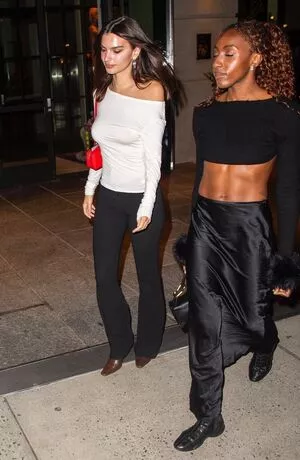 Emily Ratajkowski / emrata nude photo #7427