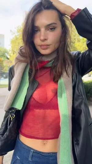 Emily Ratajkowski / emrata nude photo #7463