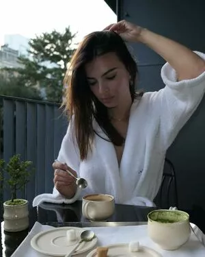 Emily Ratajkowski / emrata nude photo #7769