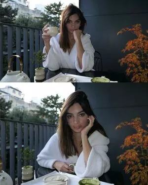 Emily Ratajkowski / emrata nude photo #7770