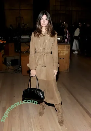 Emily Ratajkowski / emrata nude photo #7913