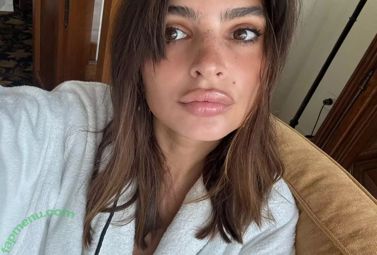 Emily Ratajkowski nude photo #7815 (emrata)