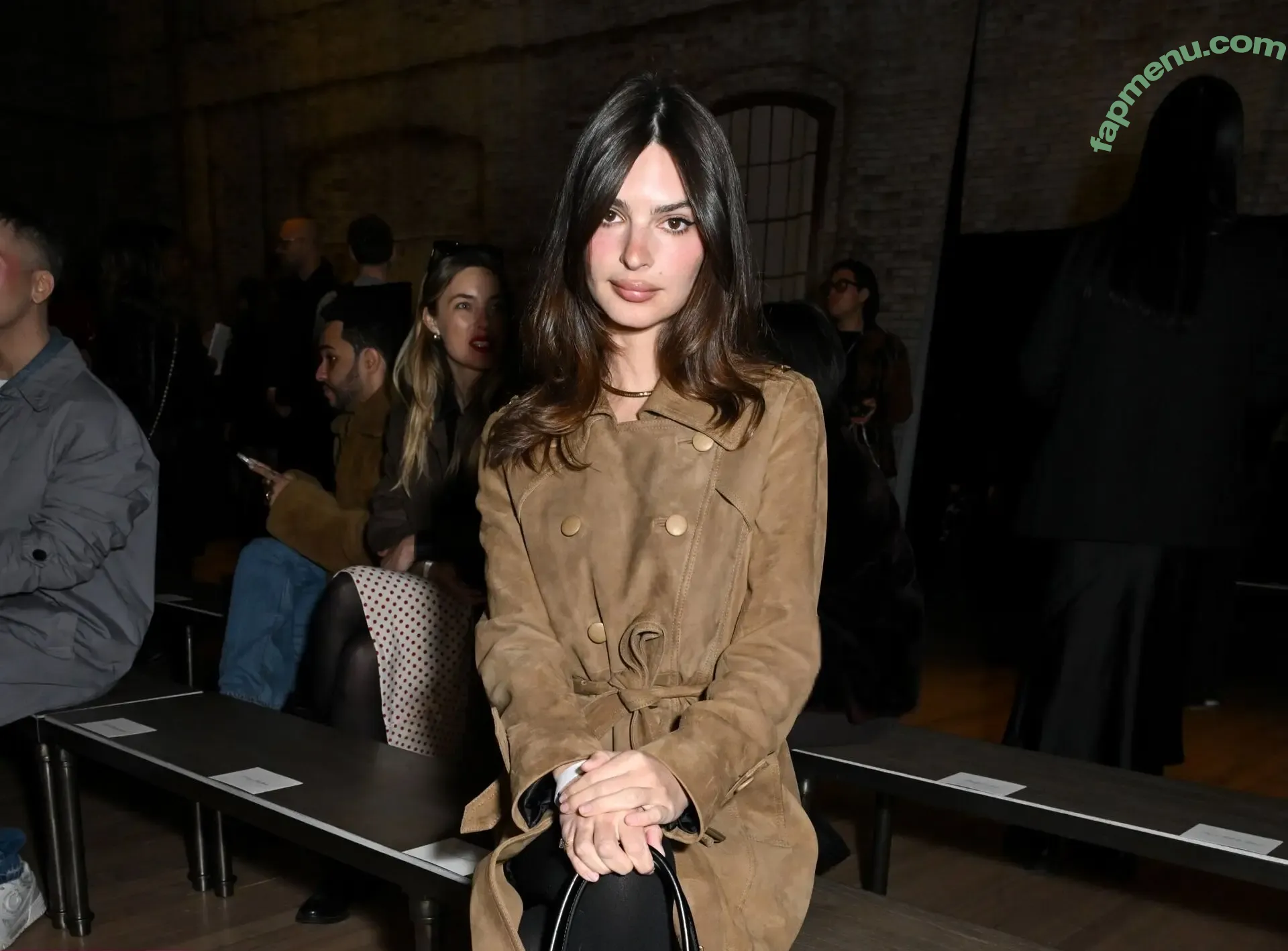 Emily Ratajkowski nude photo #7928 (emrata)
