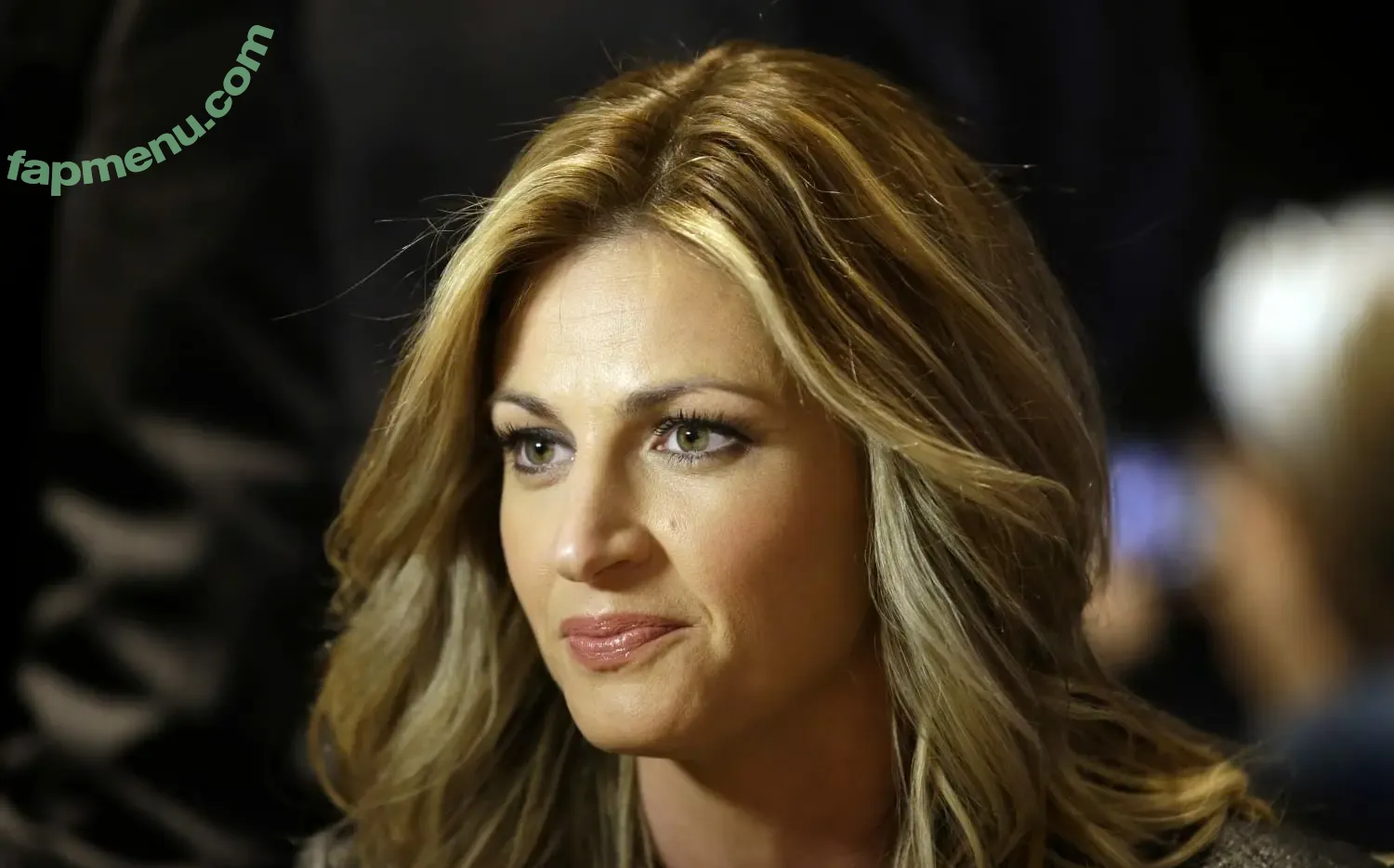 Erin Andrews nude photo #0125 (erinandrews)