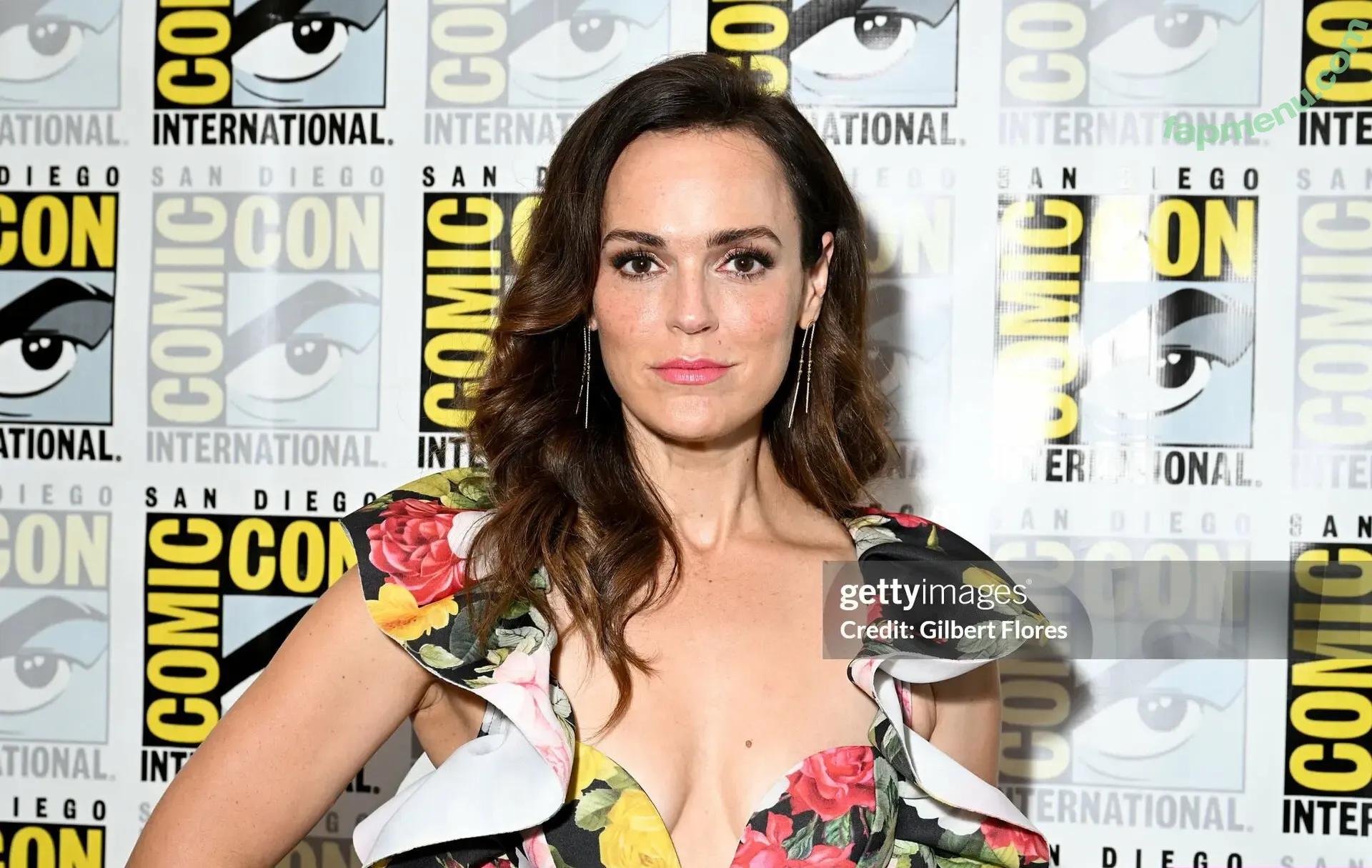 Erin Cahill nude photo #0034 (theerincahill)