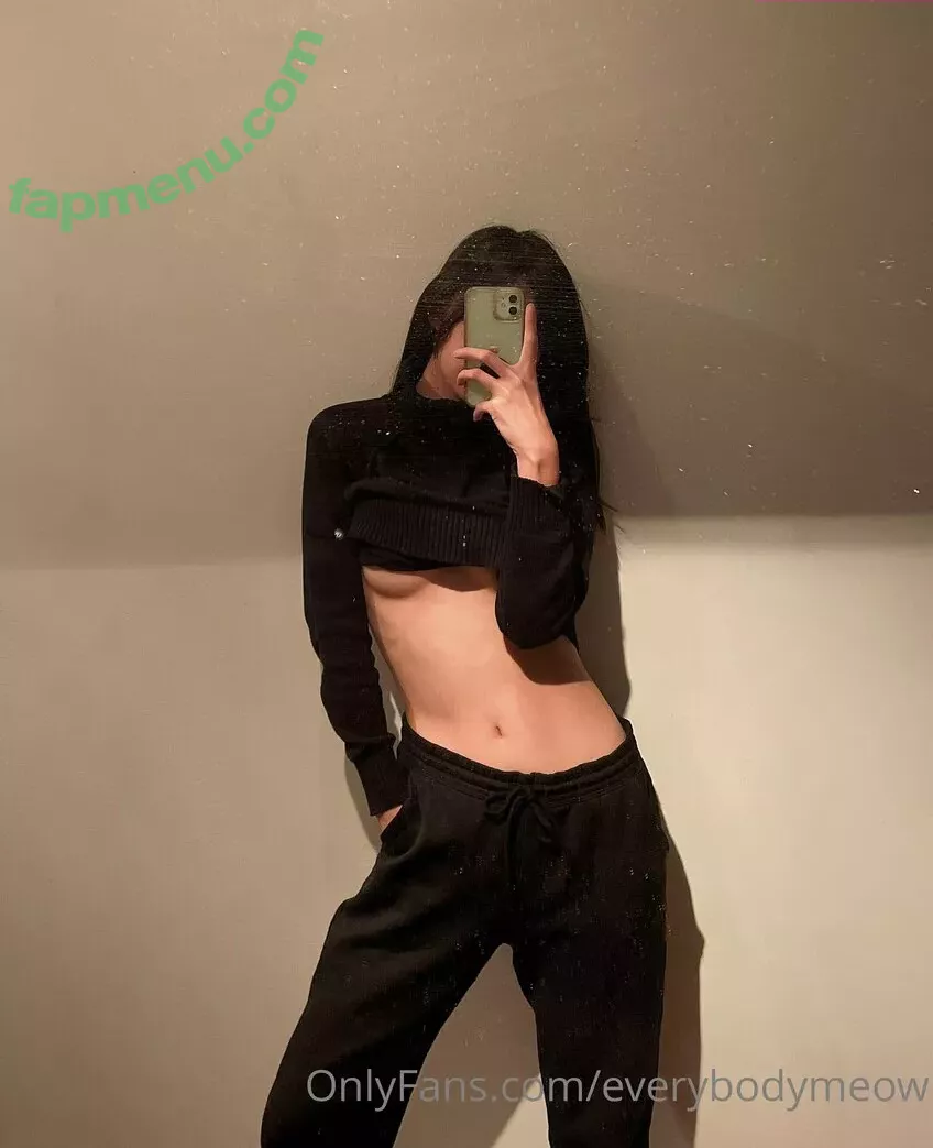 everybodymeow nude photo #0065 (lordbowserthecat)
