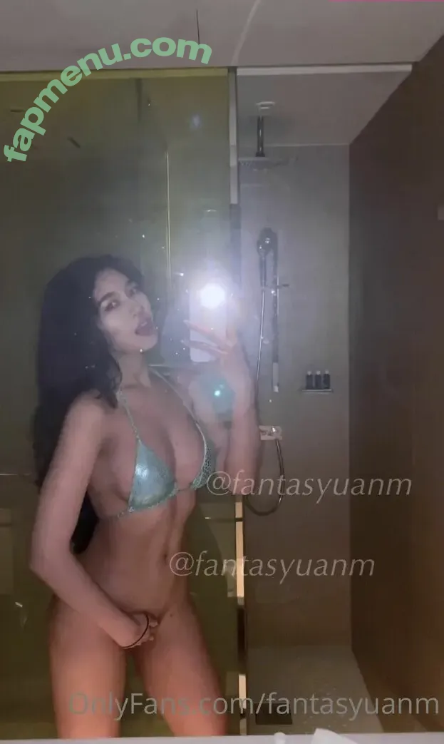 Fantasyuanm nude photo #0013 (Selenaymzhang)