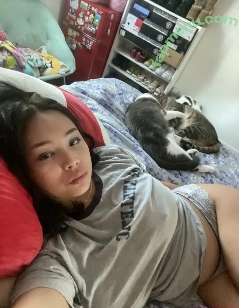 Fattestcat nude photo #0155 (anyuser / uwannacum2)