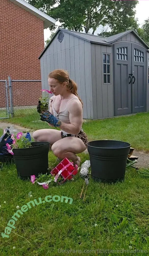 fitlittleredheadfree nude photo #0397 (fit_little_redhead)