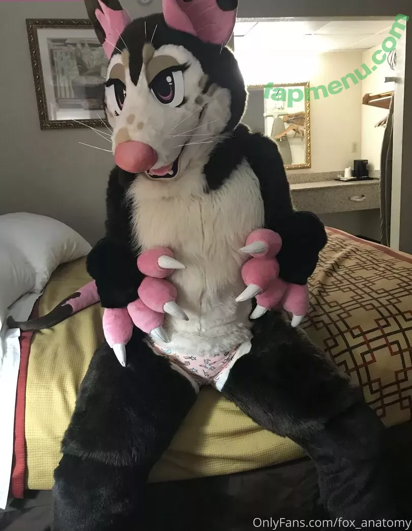 fox_anatomy nude photo #0011 (fox_anatomy)