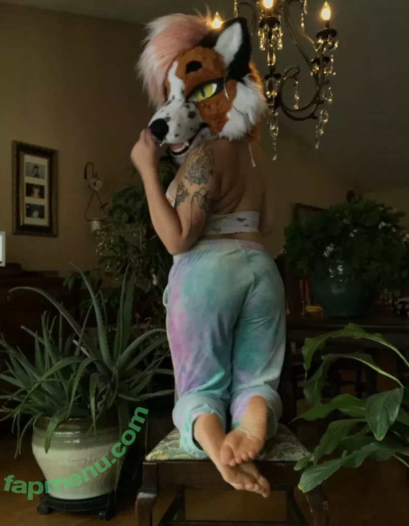 fox_anatomy nude photo #0062 (fox_anatomy)