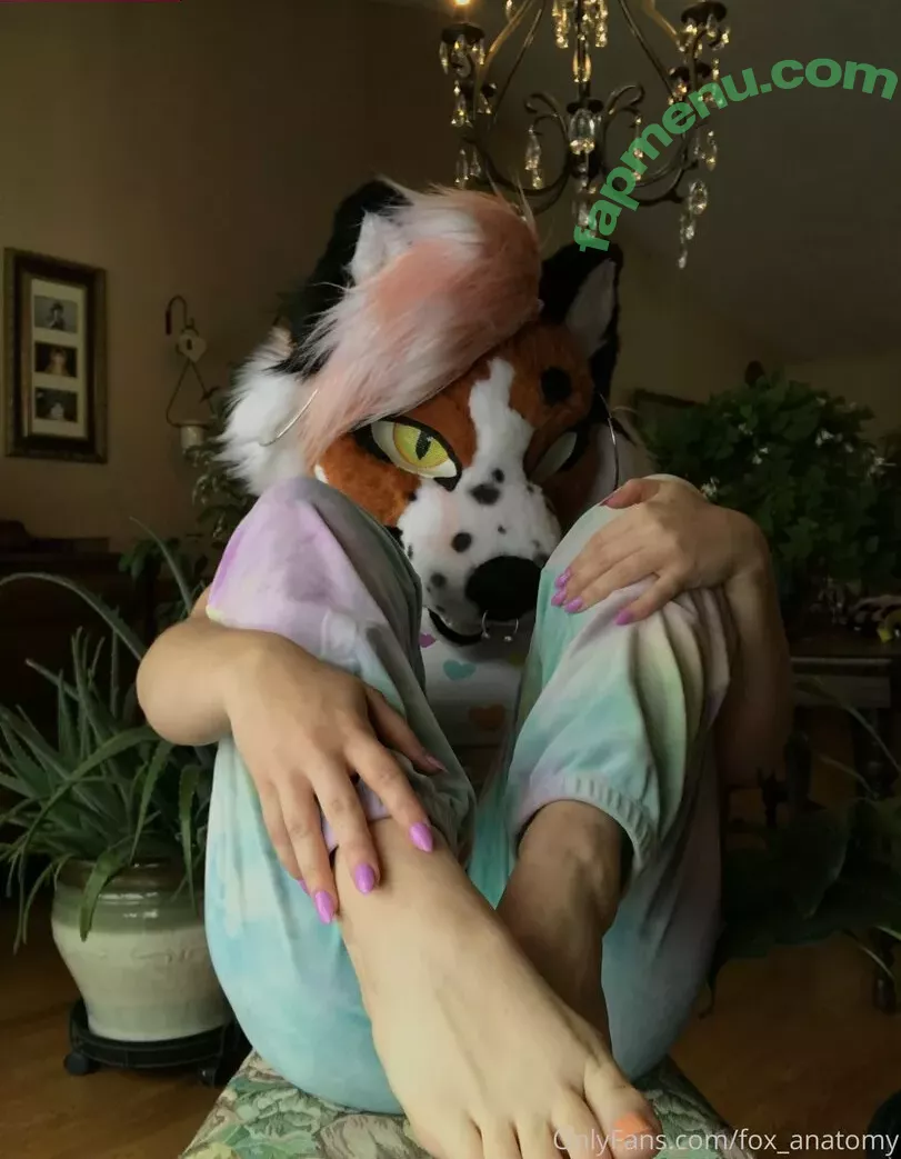 fox_anatomy nude photo #0065 (fox_anatomy)