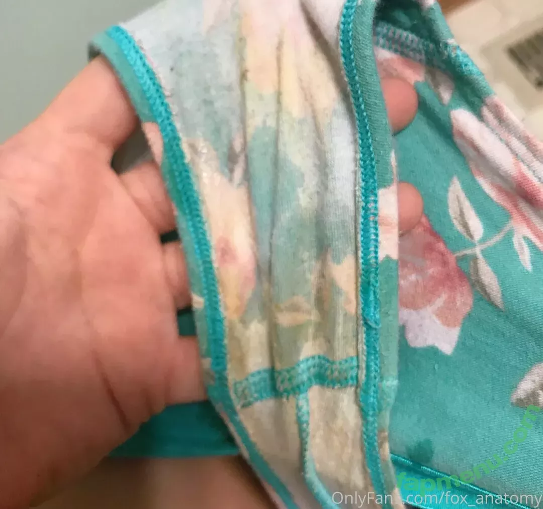 fox_anatomy nude photo #0077 (fox_anatomy)