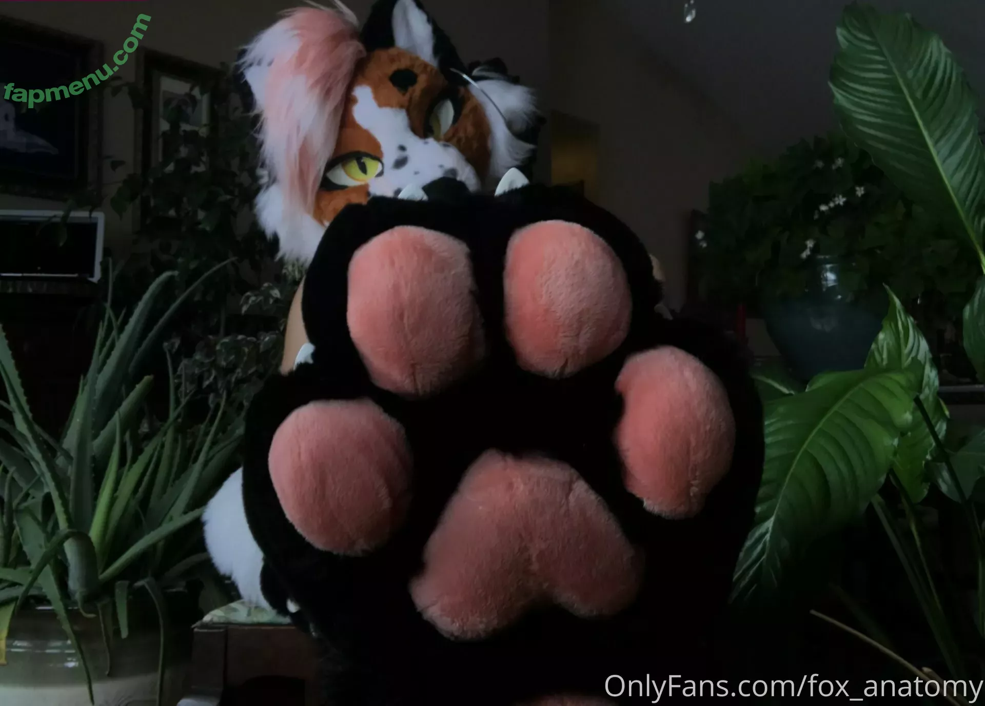 fox_anatomy nude photo #0128 (fox_anatomy)