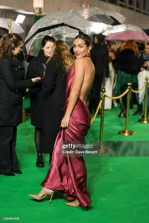 Frankie Bridge / Frankie Sandford (The Saturdays / frankiebridge nude photo #2633