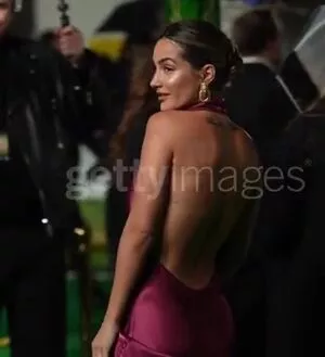 Frankie Bridge / Frankie Sandford (The Saturdays / frankiebridge nude photo #2636