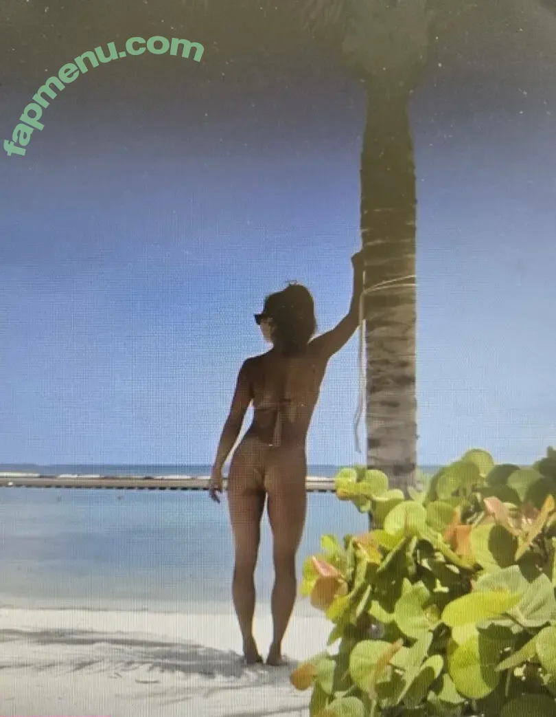 Gail Kim nude photo #0734 (gailkimitsme)
