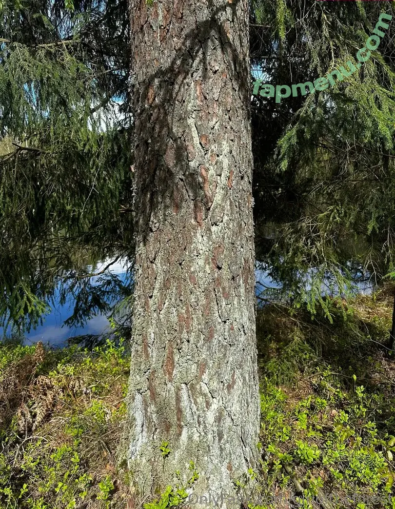 girloftheforest nude photo #0027 (girloftheforest)