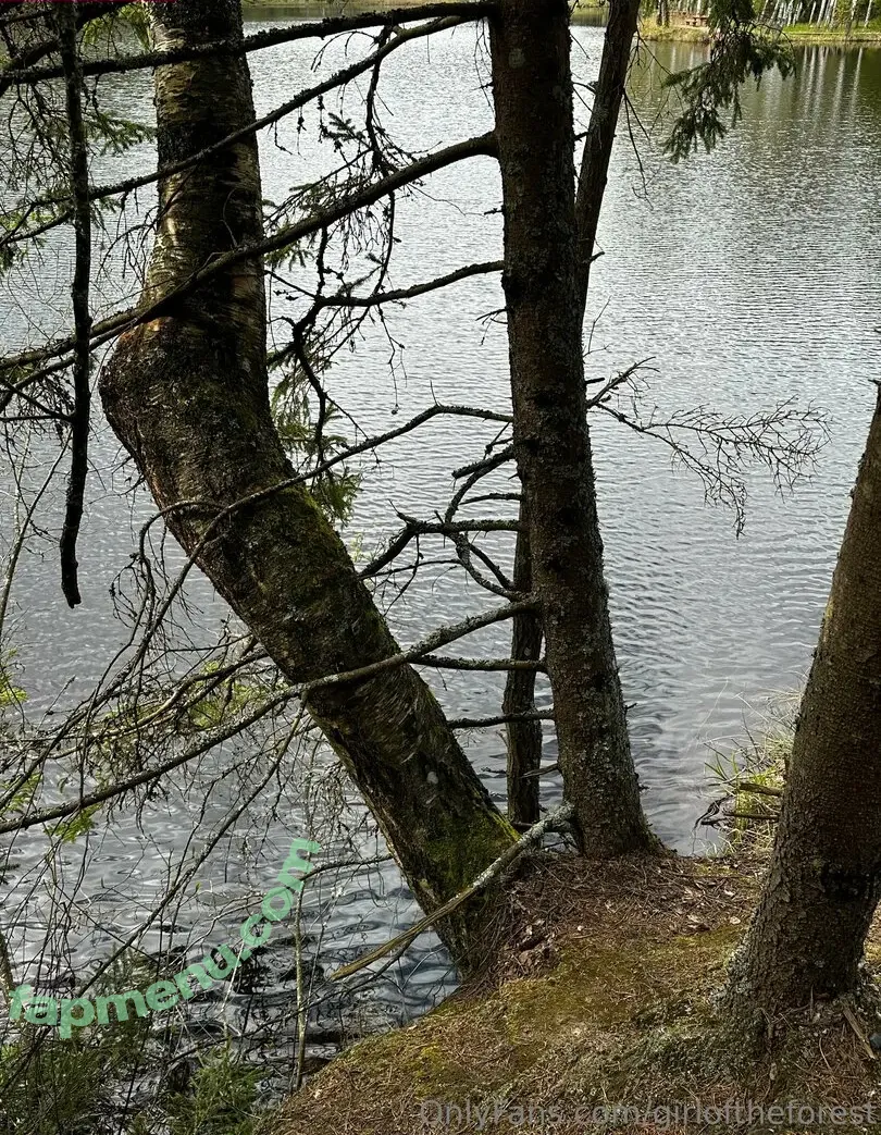 girloftheforest nude photo #0029 (girloftheforest)