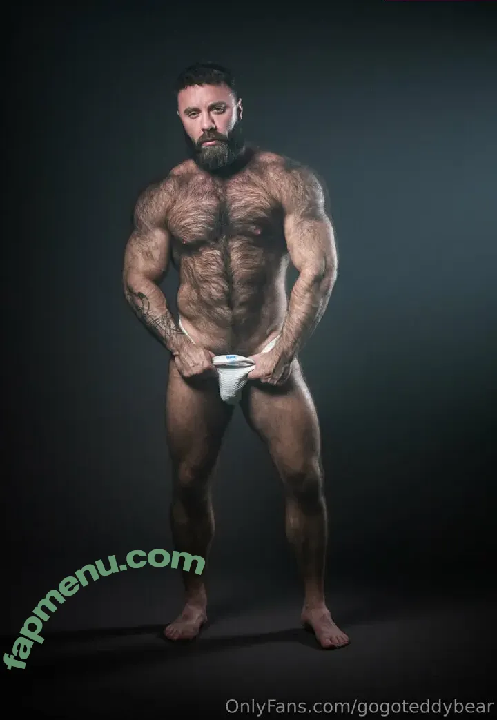 gogoteddybear nude photo #0025 (mrteddybeargrr)