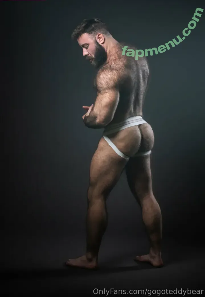gogoteddybear nude photo #0026 (mrteddybeargrr)